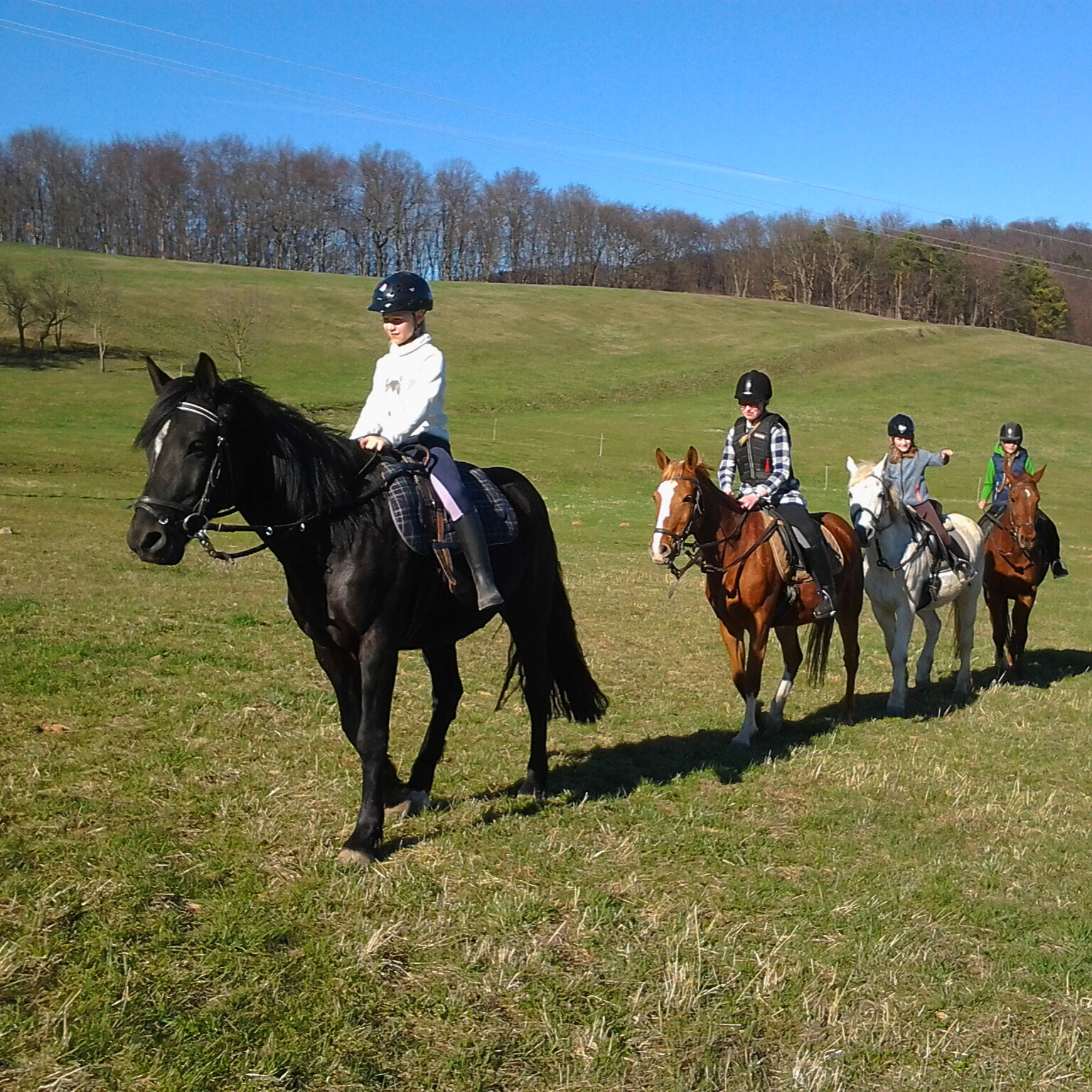 7f4c4b3c-b250-4ab7-8979-8136ccc88a32