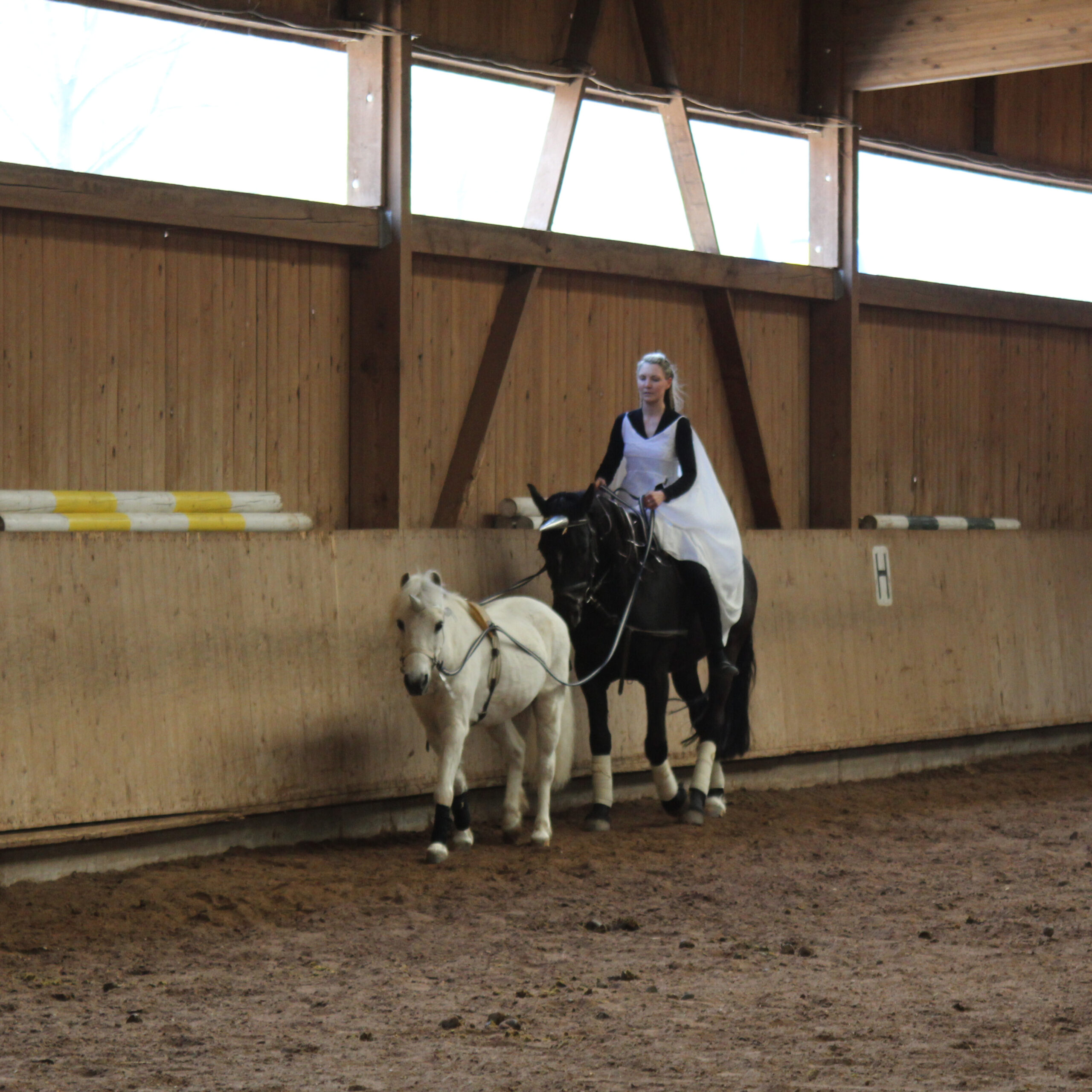 c97377e3-9584-48f6-9148-1a716d5b7434